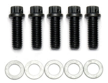 Load image into Gallery viewer, User 1