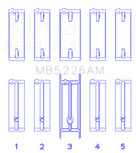 Load image into Gallery viewer, Photo - Primary