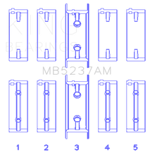 Load image into Gallery viewer, Photo - Primary