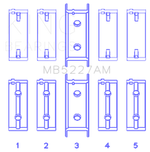 Load image into Gallery viewer, Photo - Primary