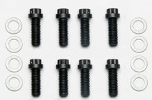 Load image into Gallery viewer, User 1