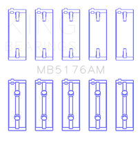 Load image into Gallery viewer, Photo - Primary