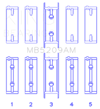 Load image into Gallery viewer, Photo - Primary