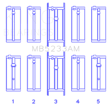 Load image into Gallery viewer, Photo - Primary