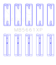 Load image into Gallery viewer, Photo - Primary
