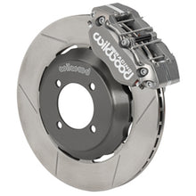 Load image into Gallery viewer, Photo - Primary